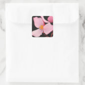 Autocollant rose Begonia (Sac)