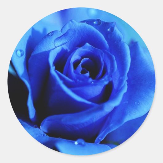Autocollant rose bleu (Devant)