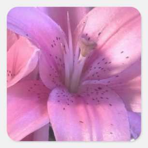 Autocollant rose de lis