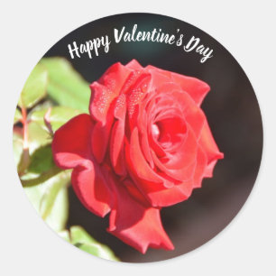 Autocollant Rose Heureuse Sainte-Valentin