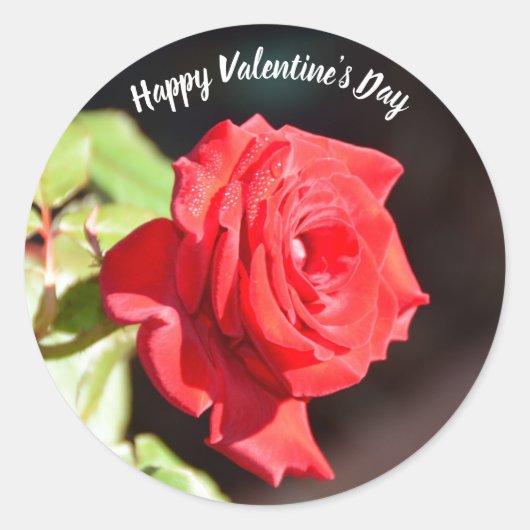 Autocollant Rose Heureuse Sainte-Valentin (Devant)