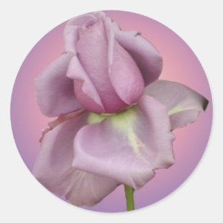 Autocollant rose lavande