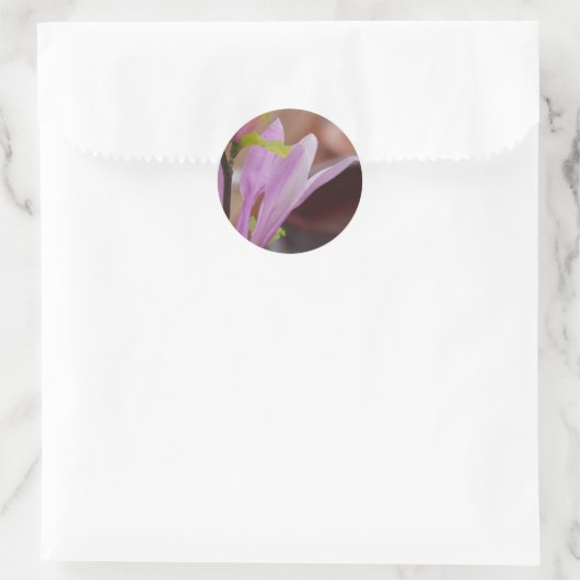 Autocollant rose Magnolia (Sac)