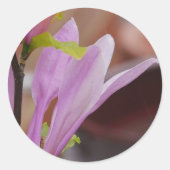 Autocollant rose Magnolia (Devant)