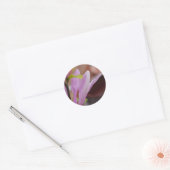 Autocollant rose Magnolia (Enveloppe)