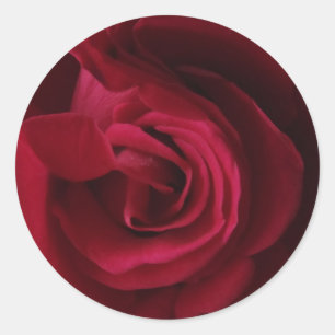 Autocollant Rose Rouge