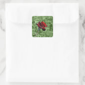 Autocollant Rose Rouge (Sac)