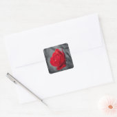 Autocollant Rose Rouge (Enveloppe)