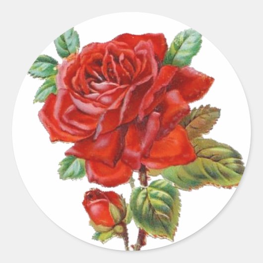 autocollant Rose Rouge Vintage (Devant)