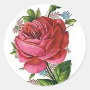 Autocollant Rose vintage