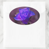 Autocollant Rose Violet Profond (Sac)