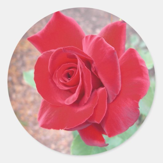 Autocollant rouge (Devant)
