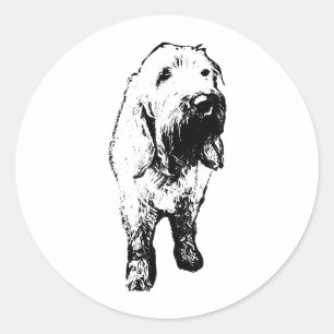 Autocollant Spinone Italiano – Chien debout audaci