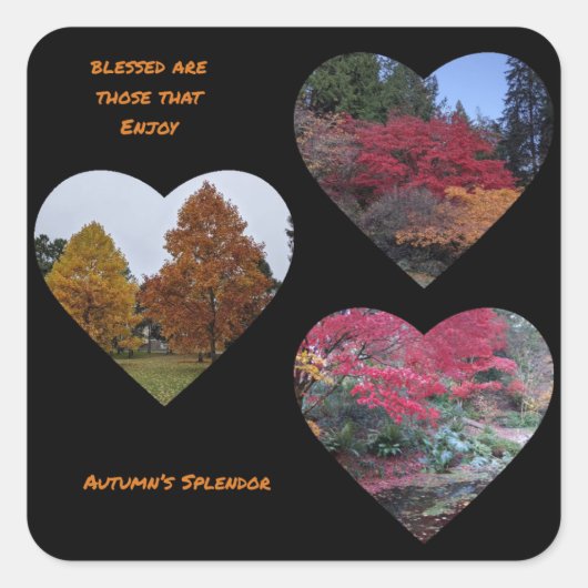 Autocollant Splendor d'automne (Devant)