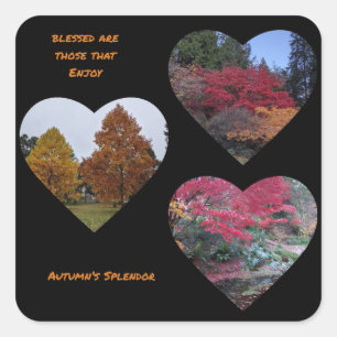 Autocollant Splendor d'automne
