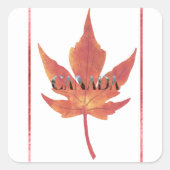 autocollant stickers (Devant)