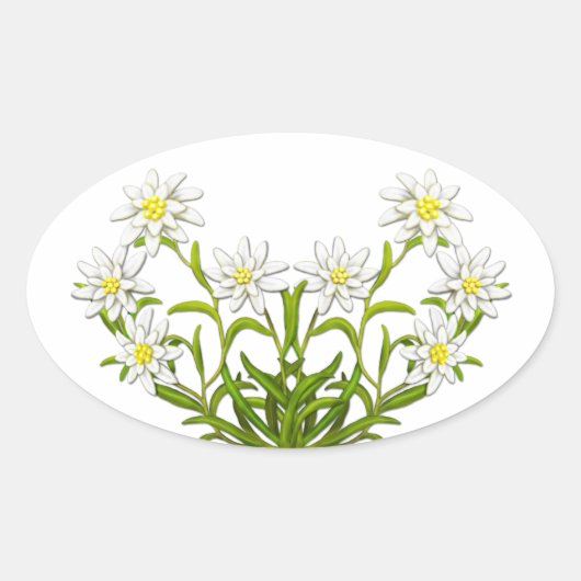 Autocollant suisse Edelweiss Flowers (Devant)