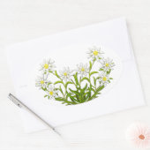 Autocollant suisse Edelweiss Flowers (Enveloppe)
