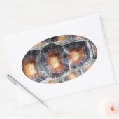 Autocollant Sulcata Tortoise Shell (Enveloppe)
