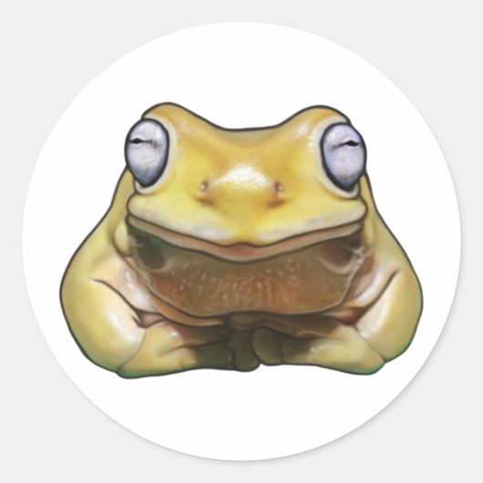 Autocollant Teddy timide garçon Sticker (Devant)