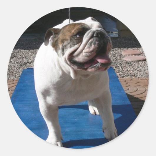 Autocollant Titan (Devant)