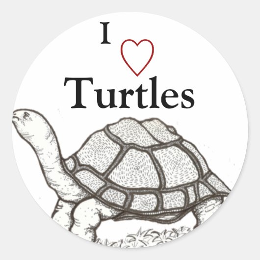 Autocollant tortue (Devant)