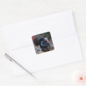 Autocollant Turquie (Enveloppe)