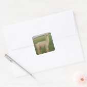 Autocollant Va Voom Alpaca (Enveloppe)