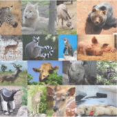 Autocollant vinyle d'animal (Devant)