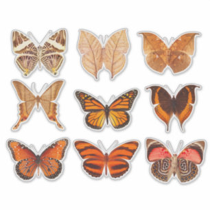 Autocollant vinyle orange doré collection papillon