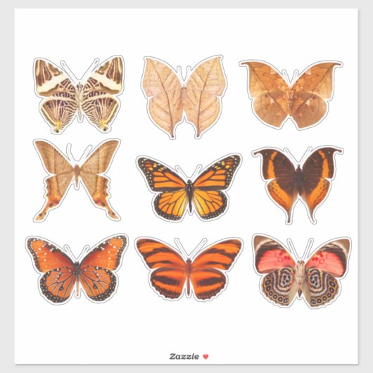 Autocollant vinyle orange doré collection papillon (Feuille)