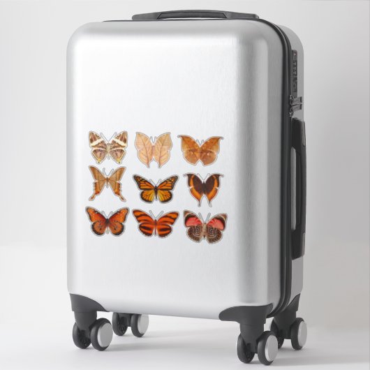Autocollant vinyle orange doré collection papillon (Sur valise)