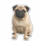 autocollant vinyle pug (Devant)