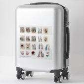 Autocollant vinyle sur mesure de modes de l'ère vi (Sur valise)