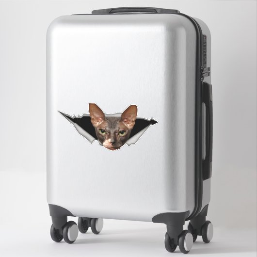 Autocollant voiture Sphynx autocollant chat Sphynx (Sur valise)