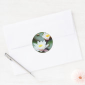 Autocollant Water Lilly (Enveloppe)