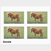 Autocollants (Feuille)