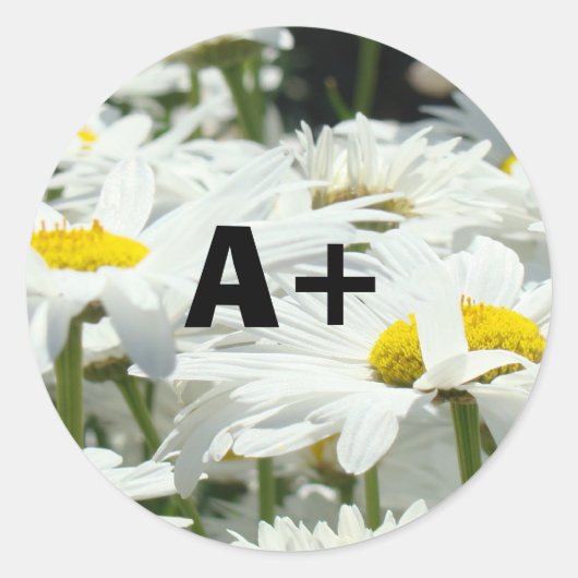 Autocollants A+ Élèves Niveau Enseignants École Da (Devant)
