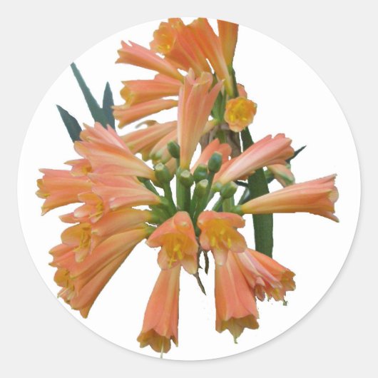 Autocollants à fleurs tropicales orange (Devant)