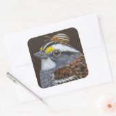 autocollants à poitrine blanche (Enveloppe)