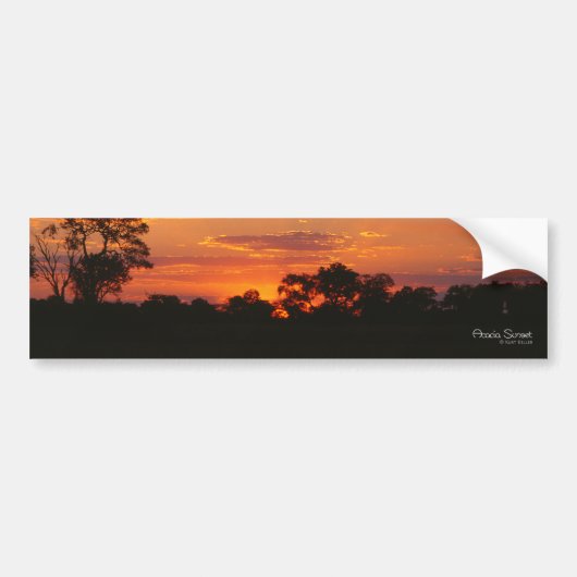Autocollants Acacia Sunset (Devant)