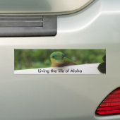 Autocollants Aloha Gecko (En voiture)