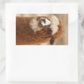 Autocollants Alpaca (Sac)