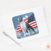 Autocollants American Staffordshire Terrier (Pit B (Enveloppe)