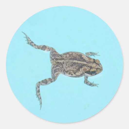 Autocollants amphibiens 02 (Devant)