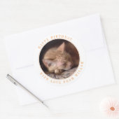 Autocollants Anniversaire Ronds GROS Animaux (Enveloppe)