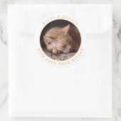 Autocollants Anniversaire Ronds GROS Animaux (Sac)