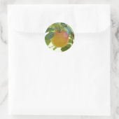 Autocollants Apple Prima (Sac)