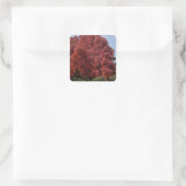 Autocollants Arbre Rouge (Sac)