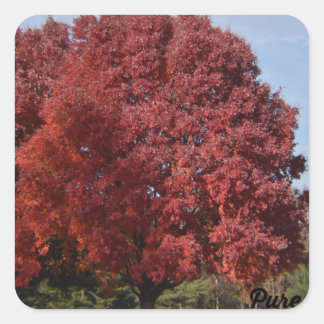 Autocollants Arbre Rouge